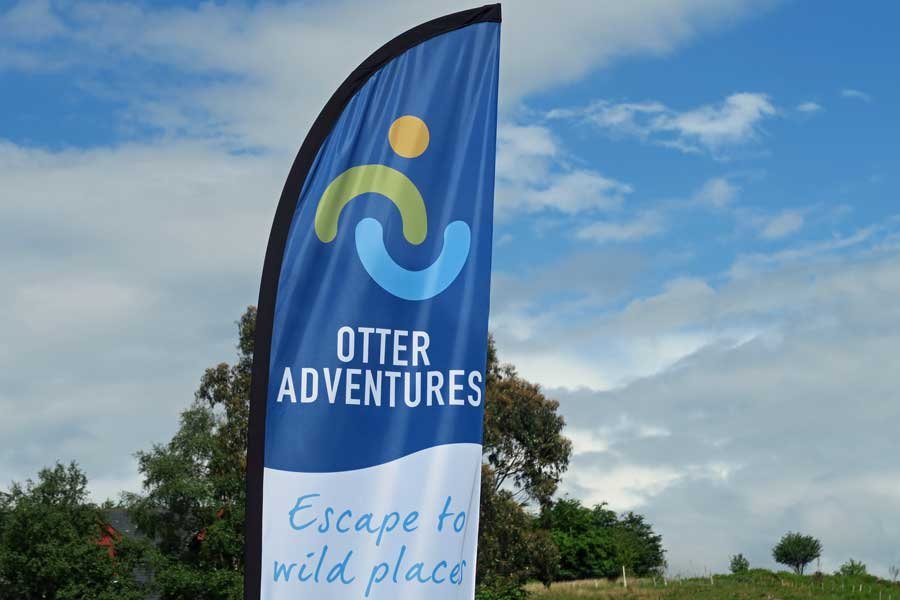 Otter Adventures