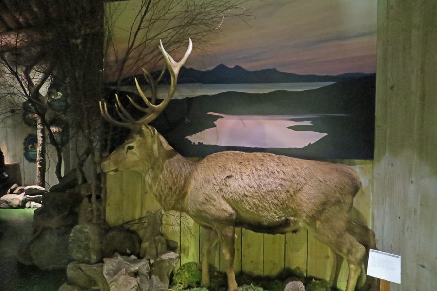 The Ardnamurchan Natural History Visitor Centre