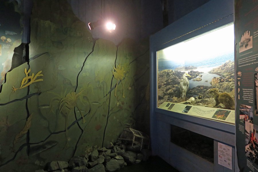 The Ardnamurchan Natural History Visitor Centre