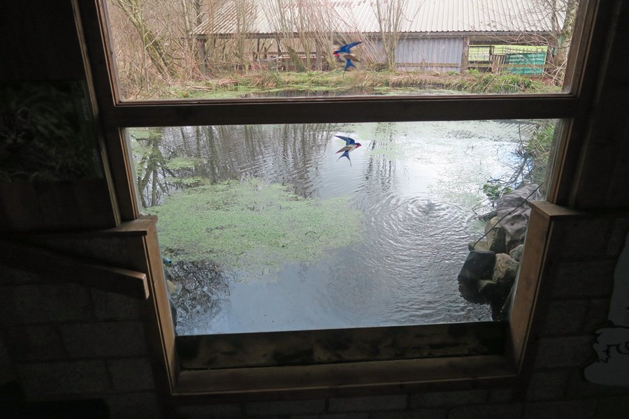 The Ardnamurchan Natural History Visitor Centre
