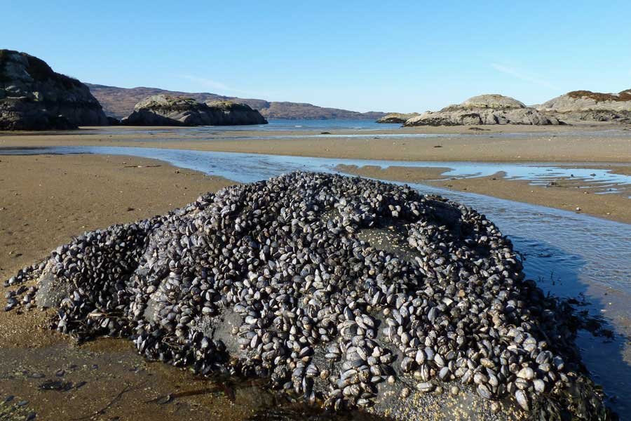 Ardtoe Beach near Acharacle