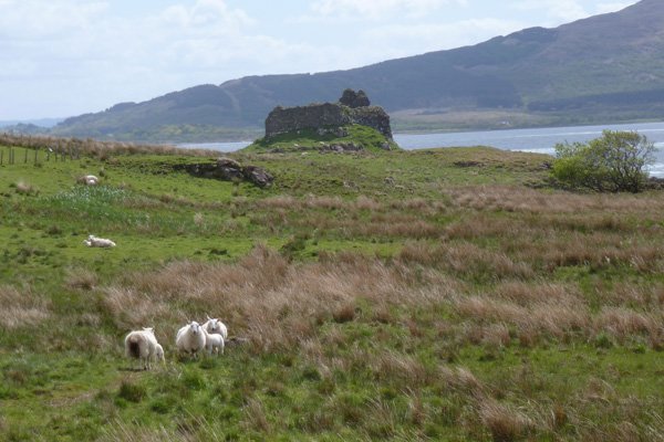 Ardtornish Castle - exterior view from Morvern
