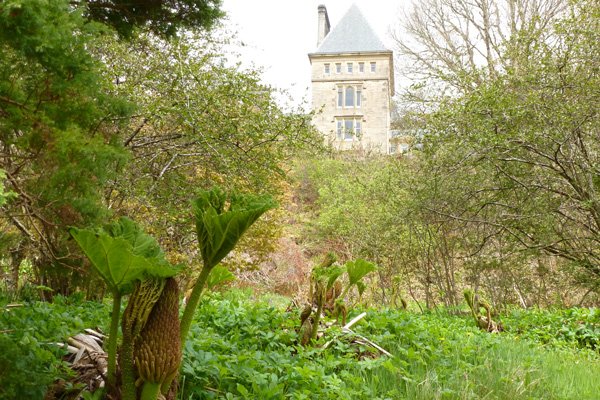 Ardtornish House with Gunnera manicata in the foreground