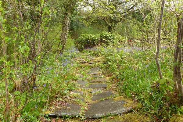 One of the many winding paths through Ardtornish Gardens