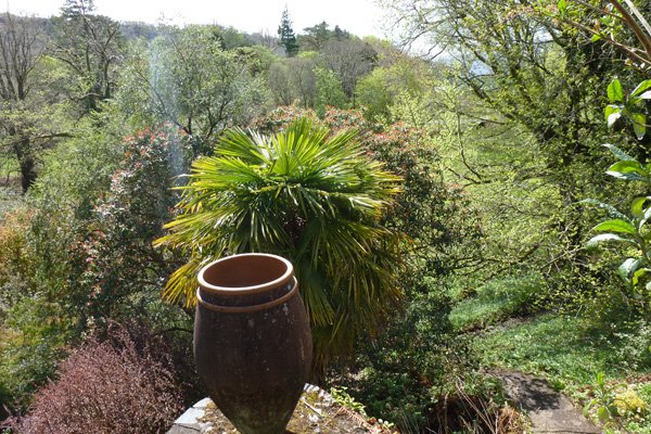 The Rockery, Ardtornish Gardens