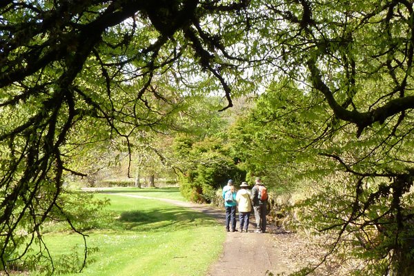 Taking in the tranquility and space of Ardtornish Gardens