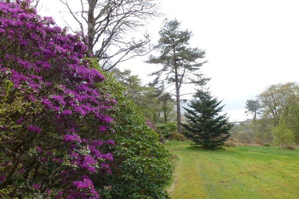 Some lovely coastal views of Loch Aline and the Sound of Mull