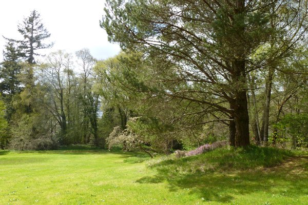 A view from within Ardtornish Gardens