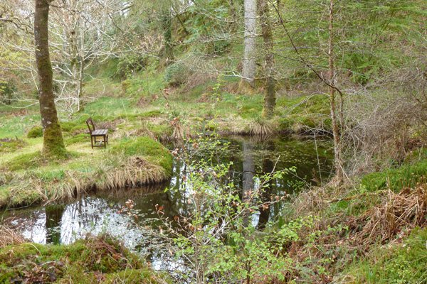 Mandy's Pool in Ardtornish Garden by Andrew's Wood