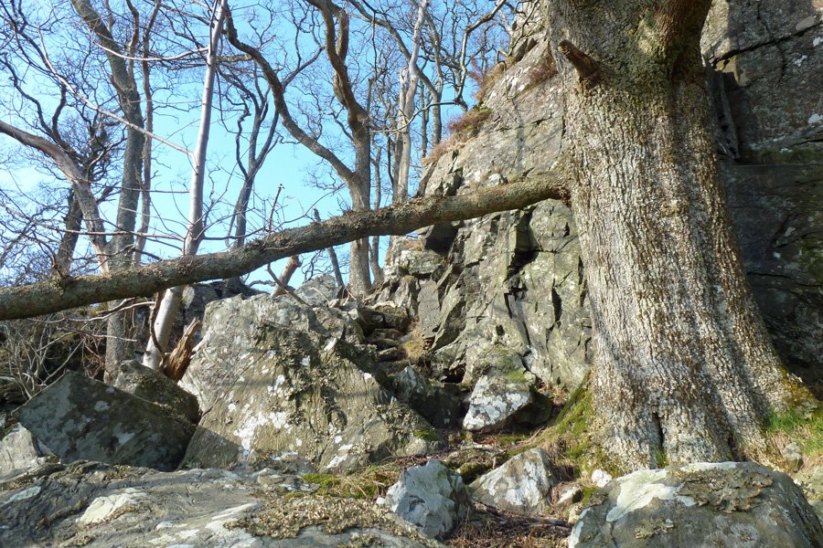 The path to Prince Charlie's cave