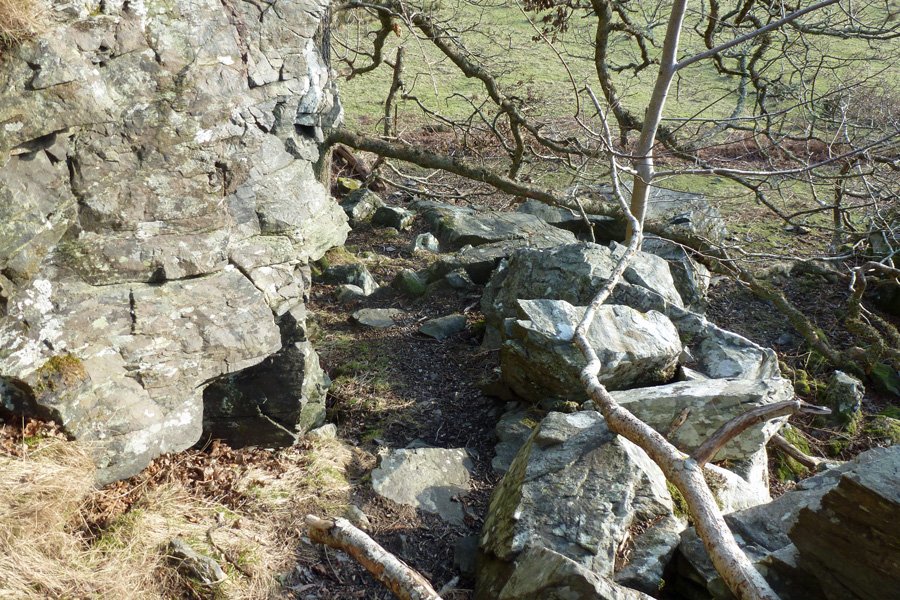 Looking back down the path