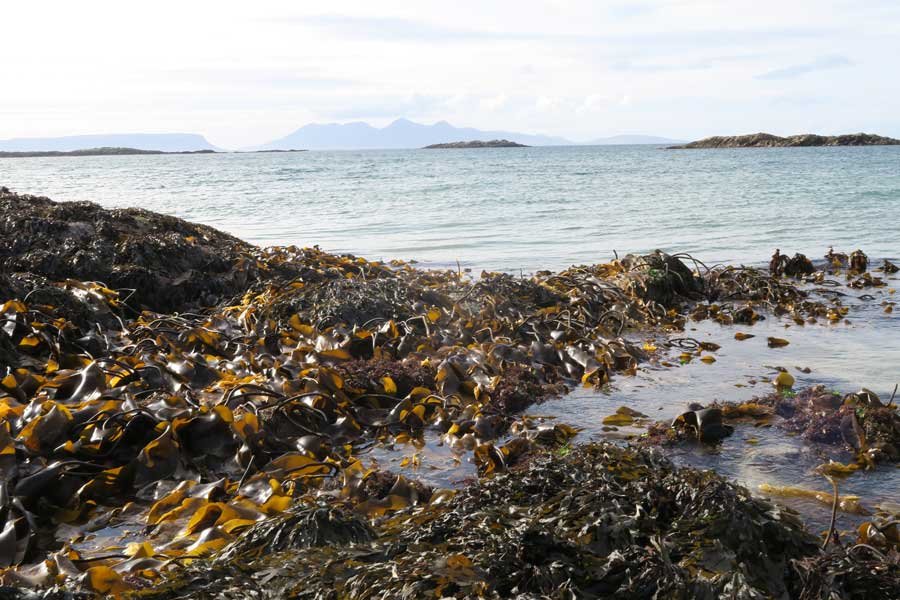 Camusdarach Beaches