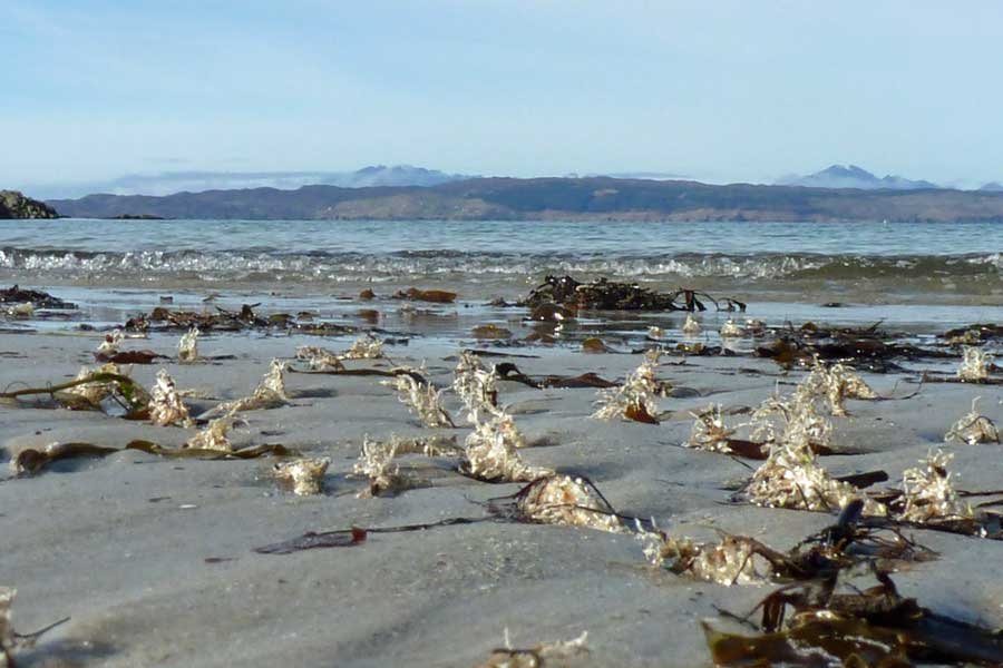 Camusdarach Beaches