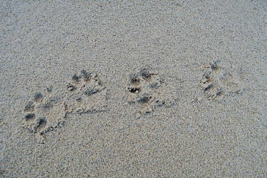 Cul na Croise Beach