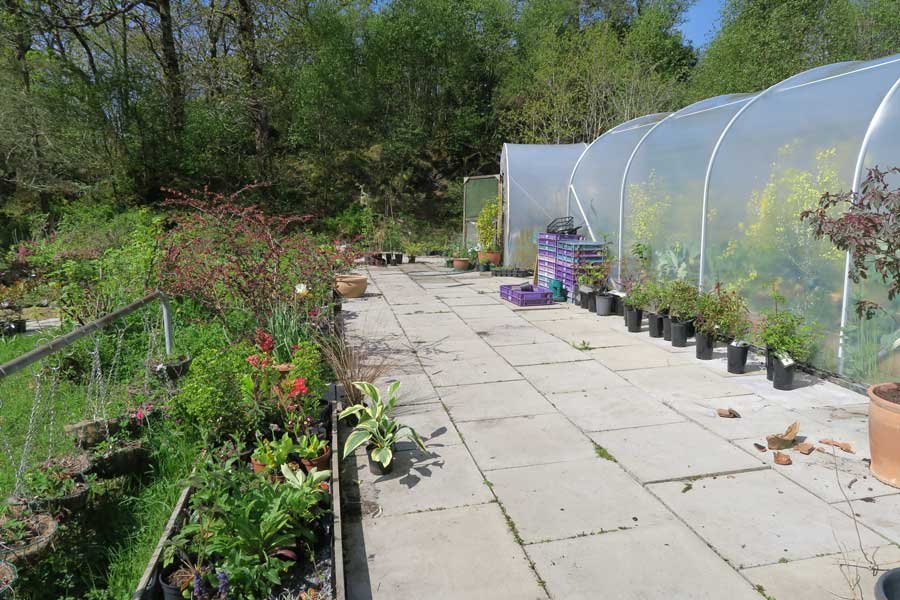 Glenborrodale Nursery