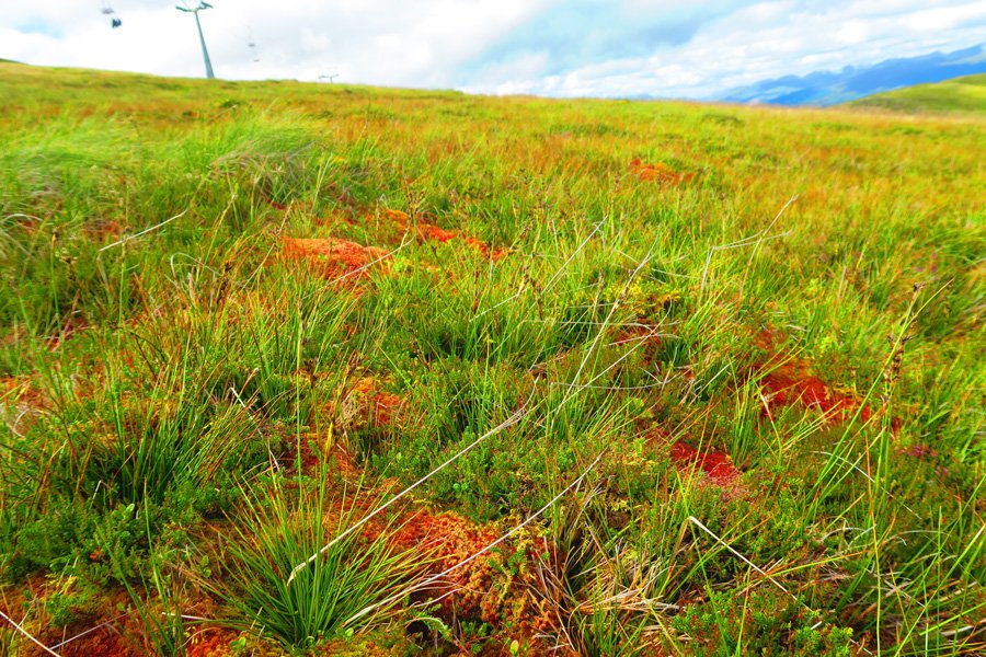 Take time to explore the unspoilt landscapes at the end of The Great Glen Scenc Chair Ride