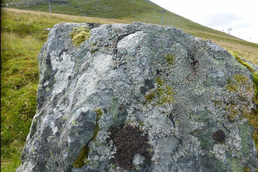 A rock covered in lichens - take time to explore the willdife of The Nevis Range