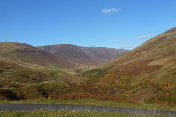 Today's Landscape