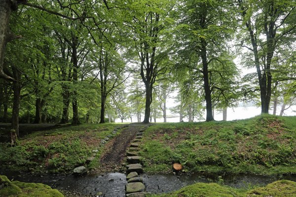 Stepping stones to the beach