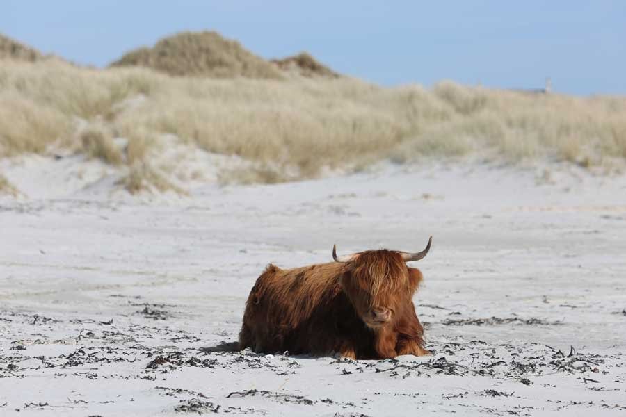 Sanna Bay Beach