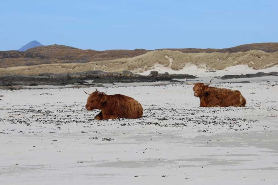 Sanna Bay Beach