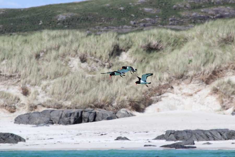 Sanna Bay Beach