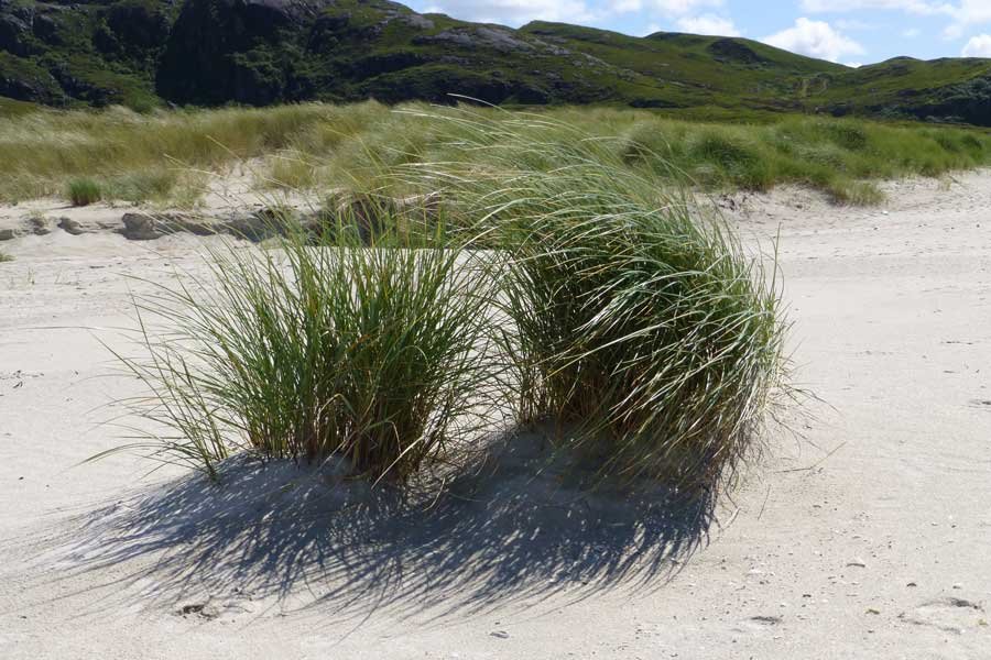 Sanna Bay Beach