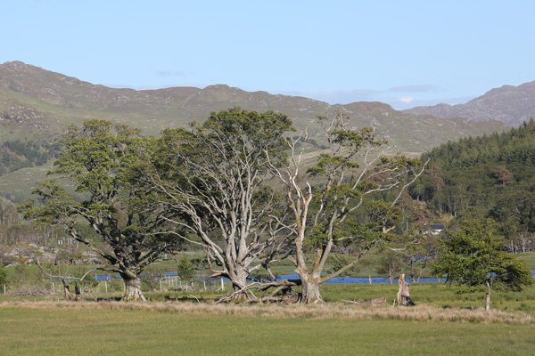 The Seven Men of Moidart - June 2015
