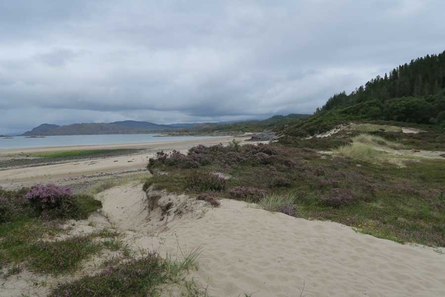 The Singing Sands