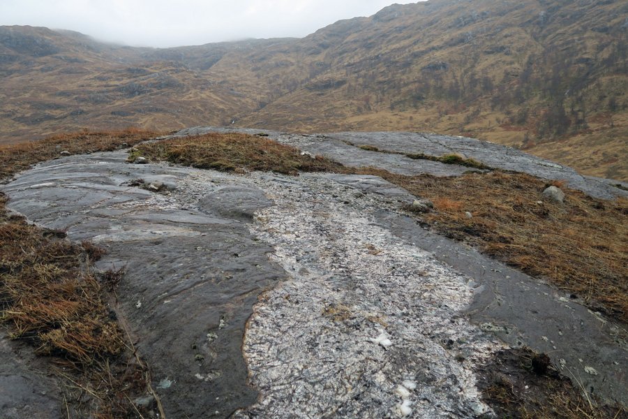 The Muidhe