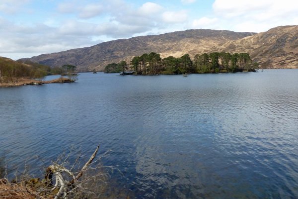 Great views of Loch Eilt and it's pine studded islands