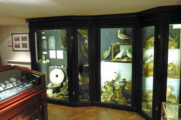 Natural History at The West Highland Museum