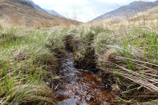 great habitat