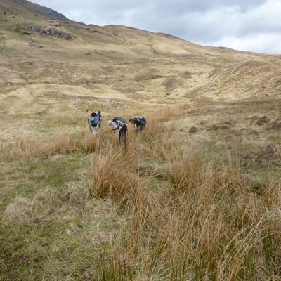 searching for signs of water voles