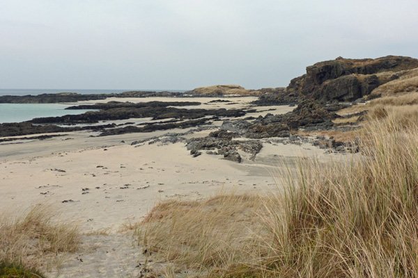 The Puffballs of Bay MacNeil