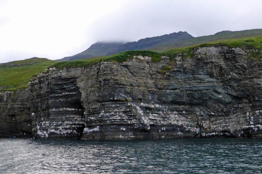A trip to see The Manx Shearwaters off The Isle of Rum
