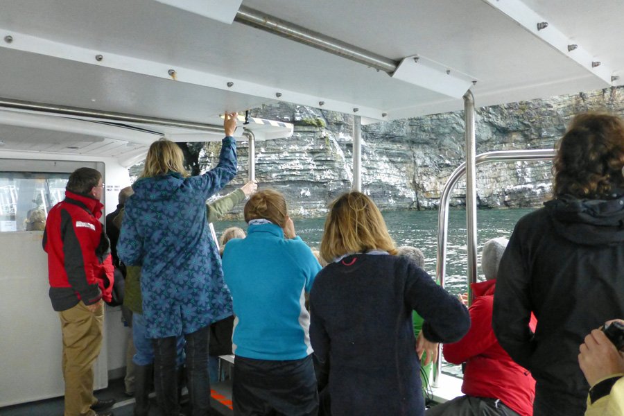 A trip to see The Manx Shearwaters off The Isle of Rum