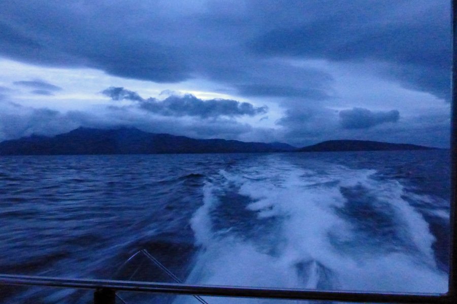 A trip to see The Manx Shearwaters off The Isle of Rum