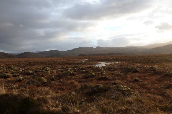 Kentra Moss Ardnamurchan