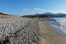 Borrodale Beach