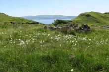 Bourblaige Cleared Settlement