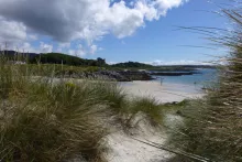 A lovely walk to explore the silvery beach at Camusdarach and the sandy bays beyond (at low tide). Take time to explore the coast, dunes and wildlife amidst stunning scenery. The walk heads across beaches and through marram stabilised dunes, glowing golden with gorse and broom in Spring and early Summer. This walk provides an opportunity to explore some lovely beaches and bays along the coastline, with fine views of The Small Isles. The start of this short walk follows a small stream whose banks are tre