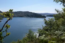 Loch Moidart from the old road