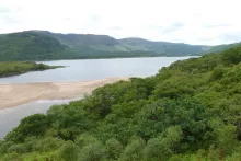 Looking over the woodland canopy to Loch Arienas