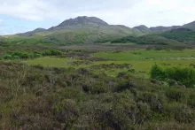 Wild Ardnamurchan in May