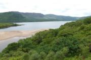 Looking over the woodland canopy to Loch Arienas