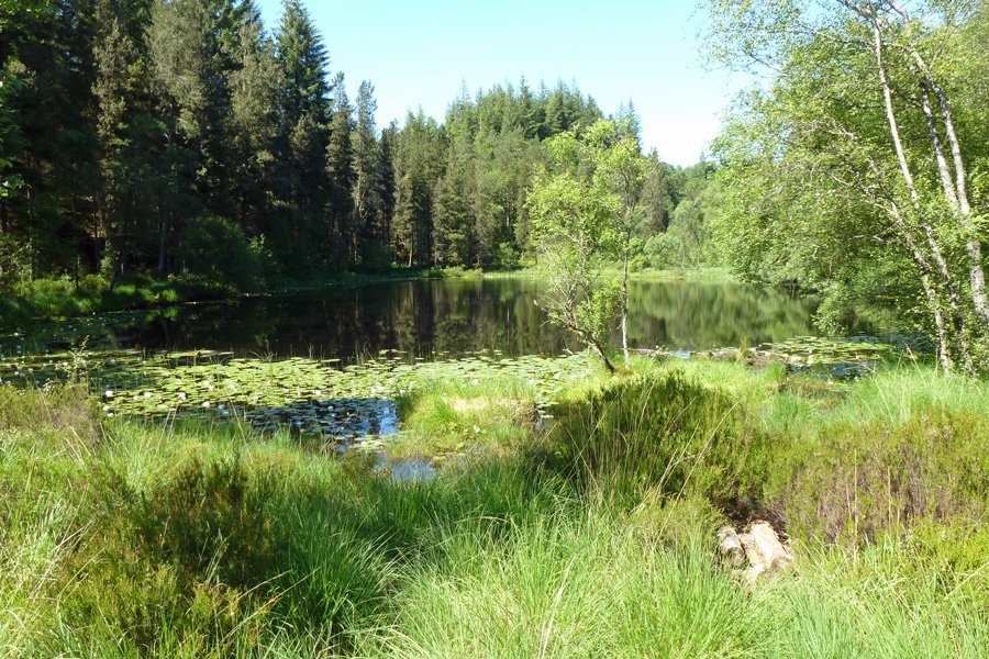 Lochan na Dunaich