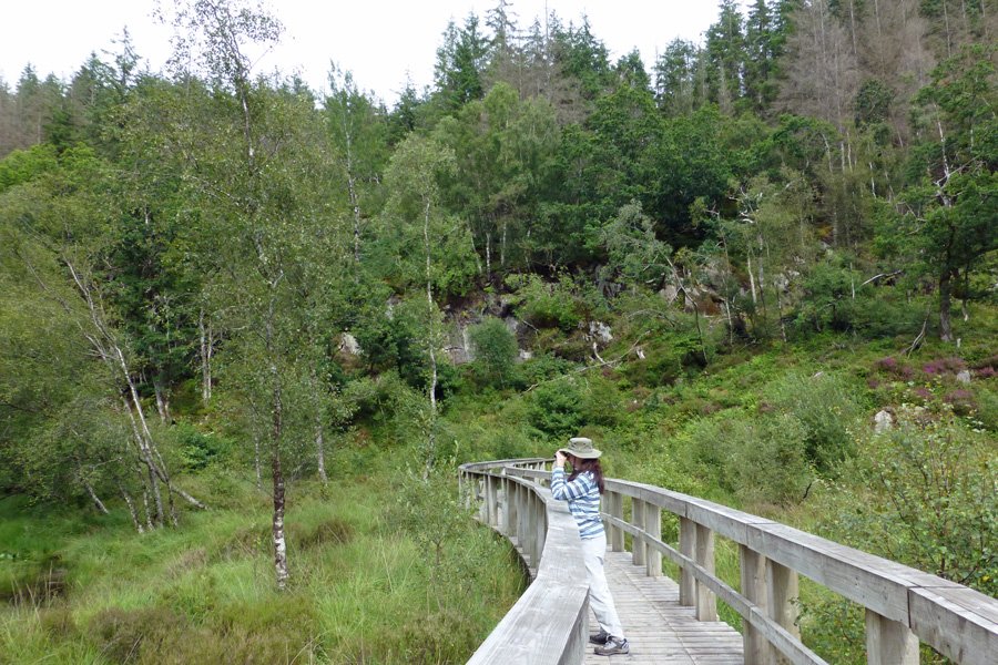 The walkway around the end of the Lochan