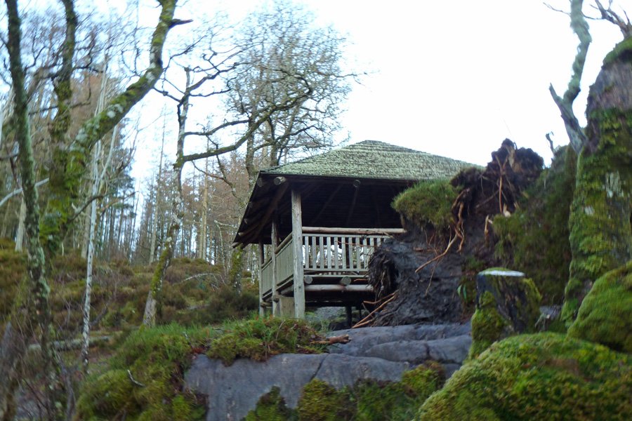 The Wood School, Sgoil Na Coille