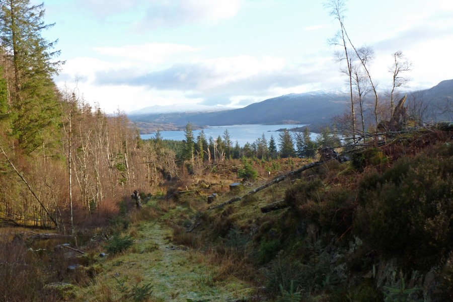 The short circular walk around the small hill above the Alphabet Trail  is well defines